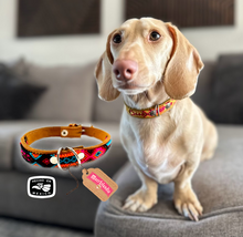 Load image into Gallery viewer, Mexican Handmade Dog Collar Pets Muertolandia.com
