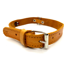 Load image into Gallery viewer, Mexican Handmade Dog Collar Pets Muertolandia.com