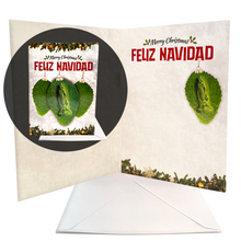 Load image into Gallery viewer, Musical Greeting Cards - 4 Card Mexican Christmas Bundle Greeting Cards Muertolandia.com