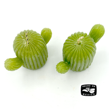 Load image into Gallery viewer, Mexican Handmade Candle - Nopal Cactus (2 Pack)